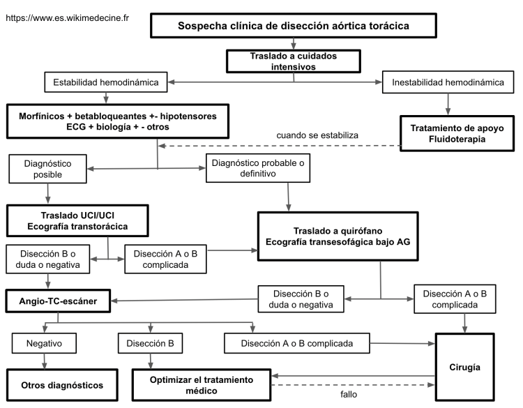 Disecciones aórticas torácicas - plan de manejo