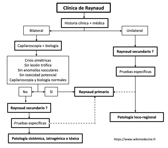 Síndrome de Raynaud - Diagnóstico